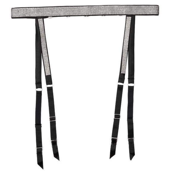 BNWT Victoria’s Secret logo shine garter belt - Picture 1 of 3